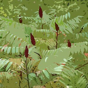 Meet your Posher, Sumac Lane!